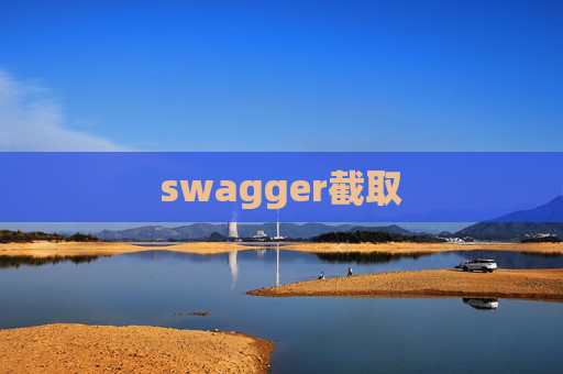 swagger截取
